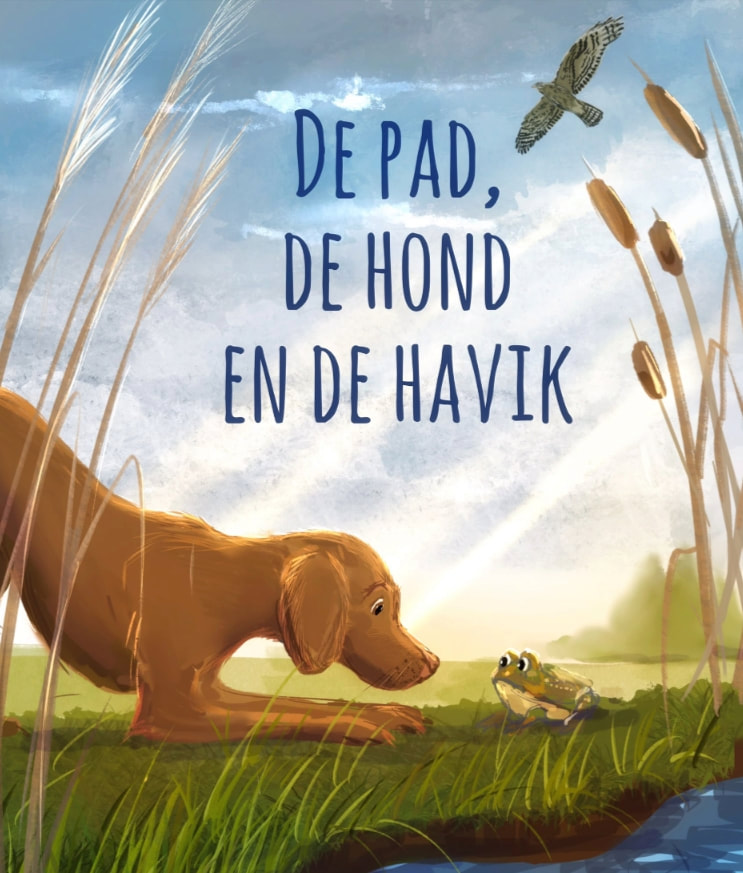 Afbeelding